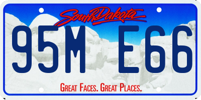 SD license plate 95ME66