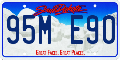 SD license plate 95ME90