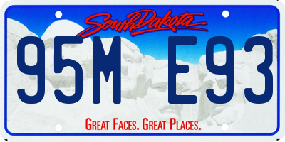 SD license plate 95ME93