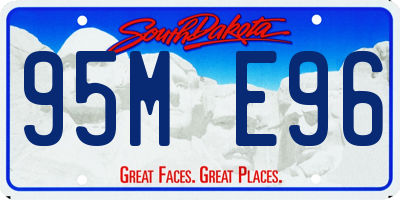SD license plate 95ME96