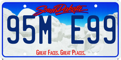 SD license plate 95ME99
