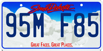 SD license plate 95MF85