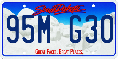 SD license plate 95MG30