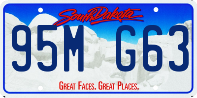 SD license plate 95MG63