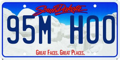 SD license plate 95MH00