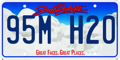 SD license plate 95MH20