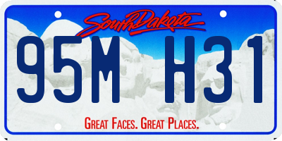 SD license plate 95MH31