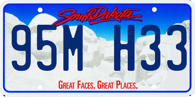 SD license plate 95MH33