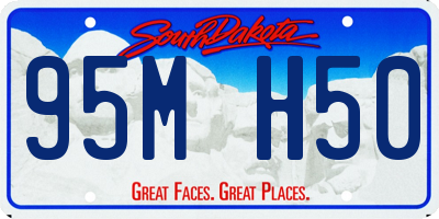 SD license plate 95MH50