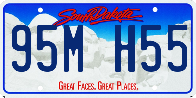 SD license plate 95MH55