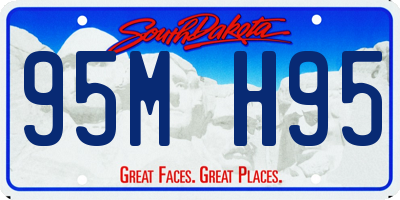 SD license plate 95MH95