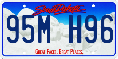 SD license plate 95MH96