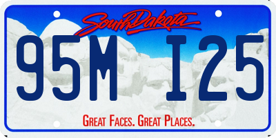 SD license plate 95MI25