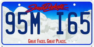 SD license plate 95MI65