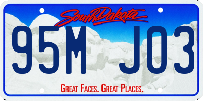 SD license plate 95MJ03