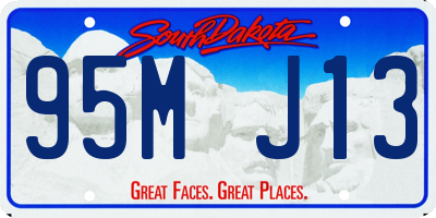 SD license plate 95MJ13