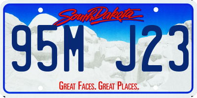 SD license plate 95MJ23