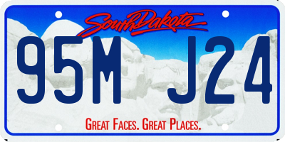 SD license plate 95MJ24