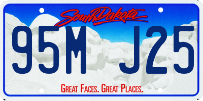 SD license plate 95MJ25