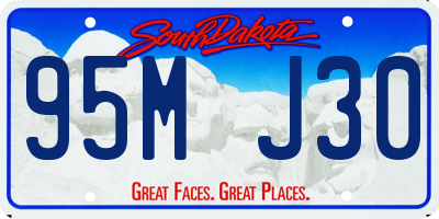 SD license plate 95MJ30