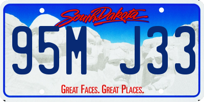 SD license plate 95MJ33