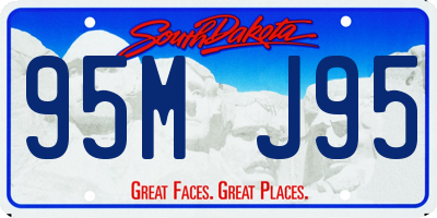SD license plate 95MJ95
