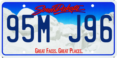 SD license plate 95MJ96