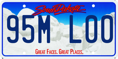 SD license plate 95ML00