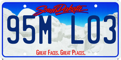 SD license plate 95ML03