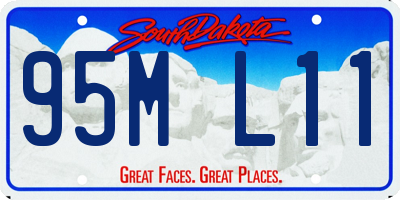 SD license plate 95ML11