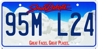 SD license plate 95ML24