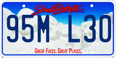 SD license plate 95ML30