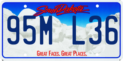 SD license plate 95ML36