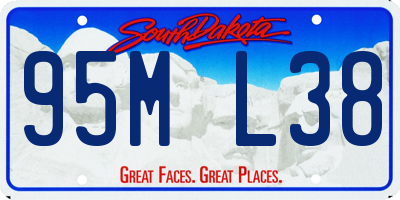 SD license plate 95ML38