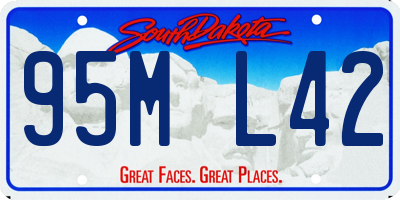 SD license plate 95ML42