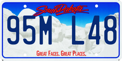 SD license plate 95ML48