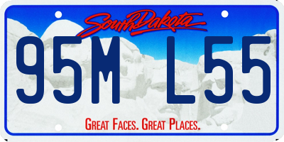 SD license plate 95ML55