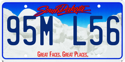 SD license plate 95ML56