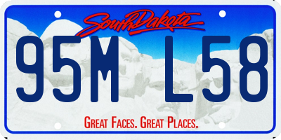 SD license plate 95ML58