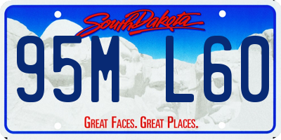 SD license plate 95ML60