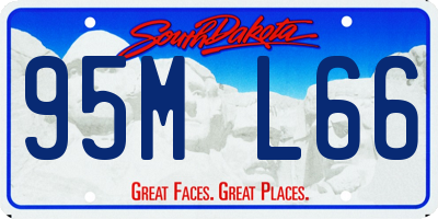 SD license plate 95ML66
