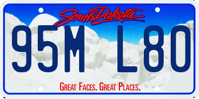 SD license plate 95ML80