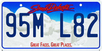 SD license plate 95ML82