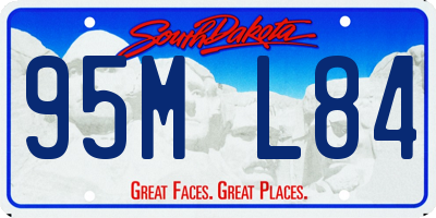 SD license plate 95ML84