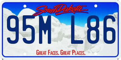 SD license plate 95ML86