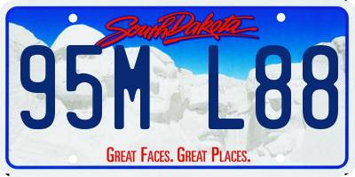 SD license plate 95ML88