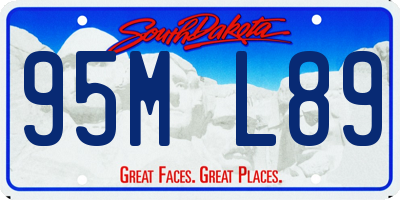 SD license plate 95ML89