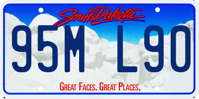 SD license plate 95ML90