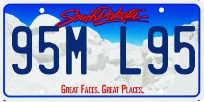 SD license plate 95ML95