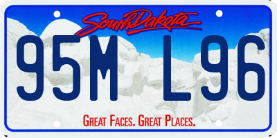 SD license plate 95ML96